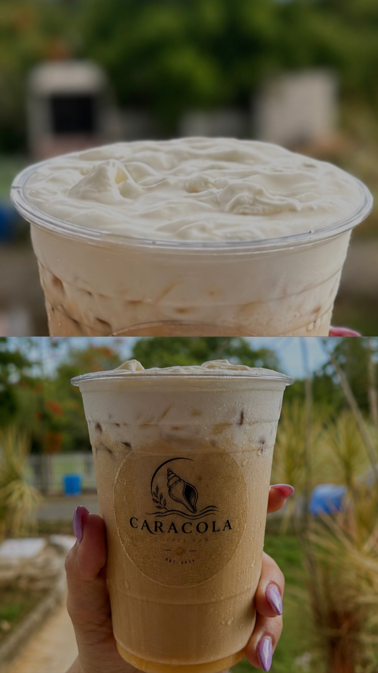 Perla de Caracola con crema sobre hielo